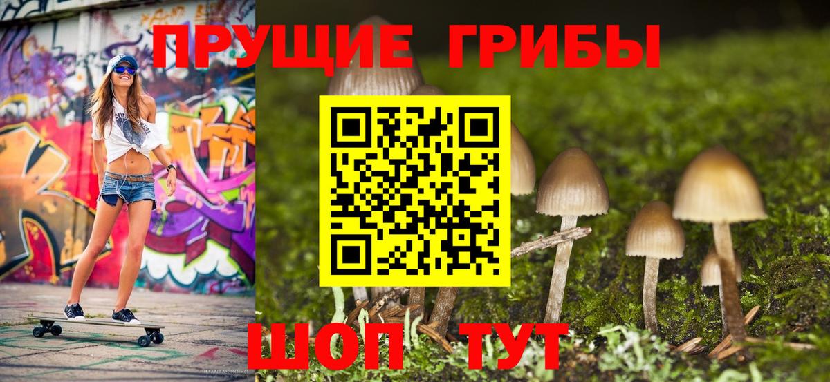 Галлюциногенные грибы Psilocybine cubensis Абинск