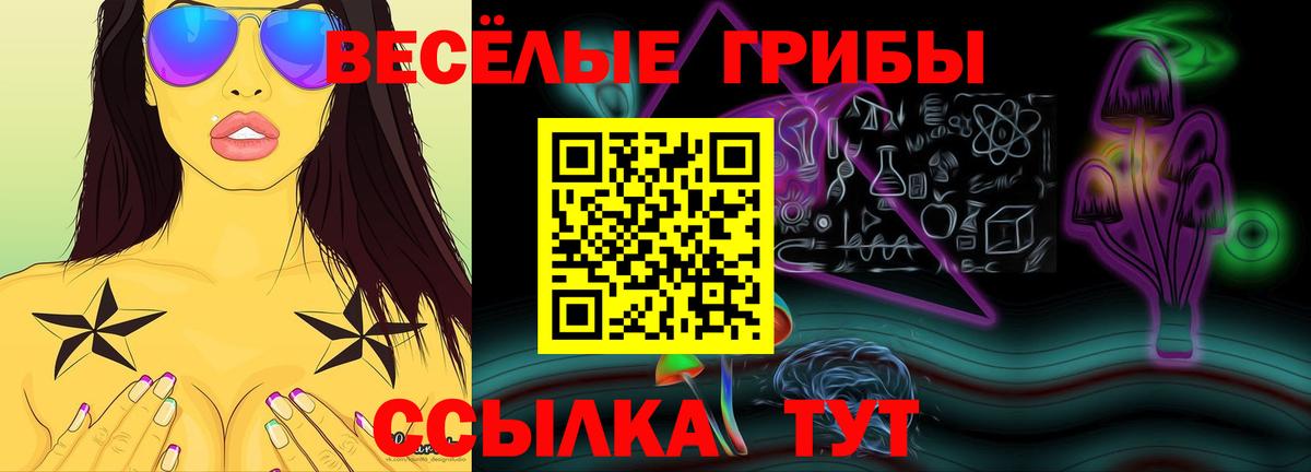 Псилоцибиновые грибы Cubensis  Псилоцибиновые грибы мухоморы  Вход с VPN  Абинск 